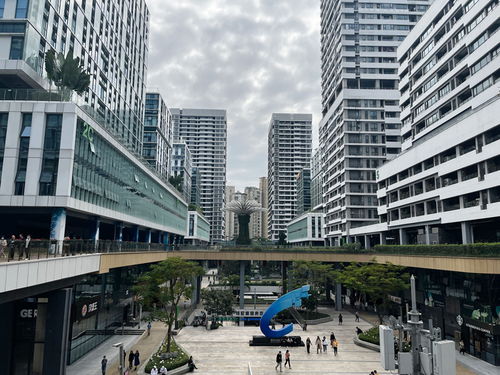 今日有为,未来可期 热烈祝贺智邦国际深圳分公司成立